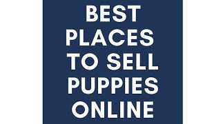 How to Sell Puppies Fast!