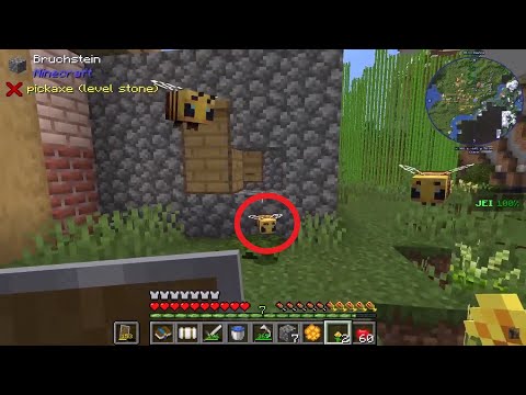 Unsere ersten Bienen 😍!!! [Life in the Village 2, Ep:4]