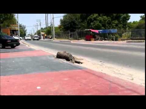 Hoyo en la Avenida Duarte, Navarrete