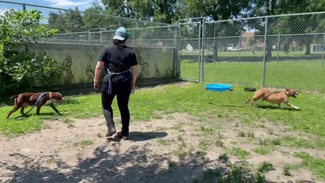 Castine's Video 3