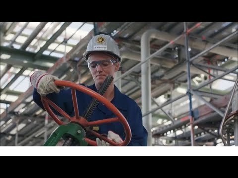 持続可能なビジネス。BPのグリーン水素プロジェクト (Sustainable Business: BP's green hydrogen project)