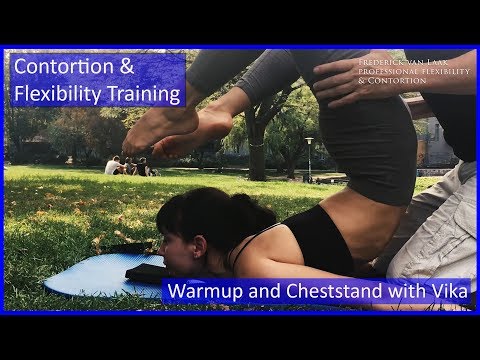 85 Flexyart Contortion Training: Warmup/Cheststand  - Also for Yoga, Pole, Ballet, Dance People