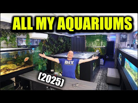 ALL MY FISH TANKS! FULL AQUARIUM GALLERY TOUR   THE KING OF DIY