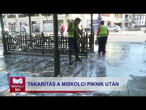Videó előnézet