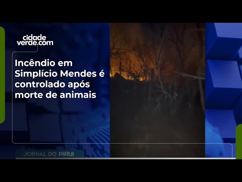 Incêndio em Simplício Mendes é controlado após morte de animais