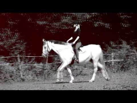 Dies ist kein Abschied, denn ich war nie Willkommen!