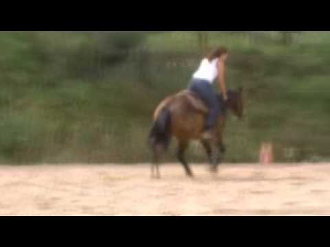 Mr Boombastic BB - 4/8/12