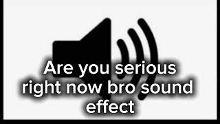 Are you serious right now bro sound effect