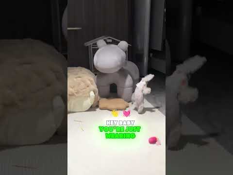 Have you ever seen a dog that can walk on its hands? 🐕🤸‍♂️😲#funny #shorts #puppy