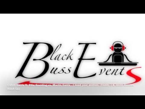 Calvin Harris, Ellie Goulding, Martin Garrix - I need your animals (Blackbuss mashup)