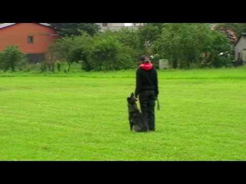 Mia od Natálky - závody ZZO - 1. místo (60 bodů)