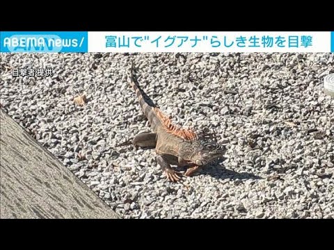 バーデン・ヴュルテンベルク州:救急アプリが全国に導入される