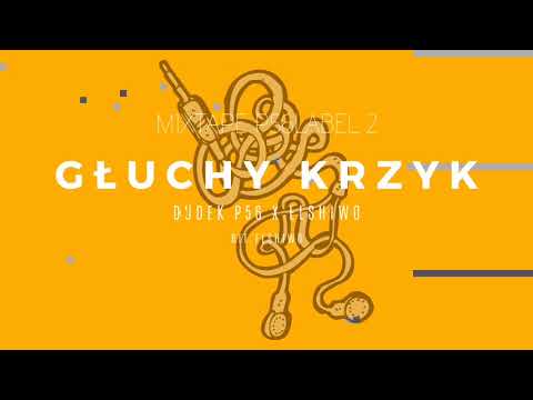 MIXTAPE P56 LABEL 2 - GŁUCHY KRZYK  ELSHIWO,DUDEK P56 BIT.ELSHIWO