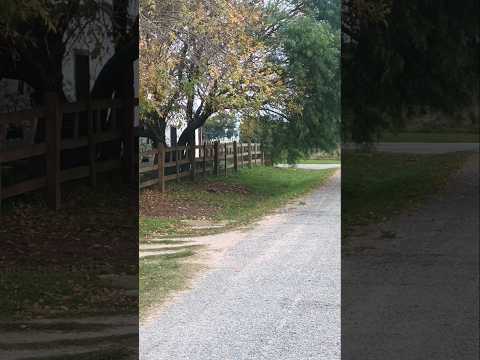 Pueblo Juan José Castro , departamento de Flores , Uruguay 🇺🇾 . Videitos cultura uruguaya .