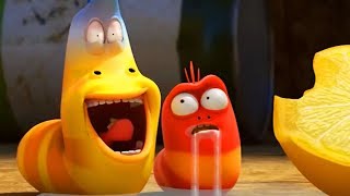 LARVA | Sour Lemon Challenge | Cartoon For Children | Funny Animated Cartoon | Cartoon TV