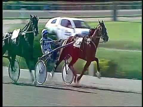 Trotto 22/05/2016 - 5° corsa