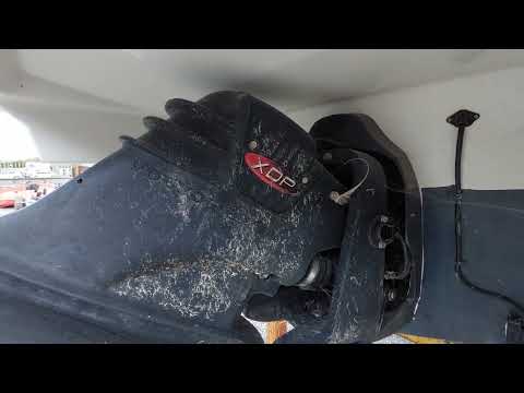 Regal 2250 Cuddy  - Boatshed - Boat Ref#311673