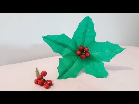 Flor de Natal | Flor de navidad | Christmas flower