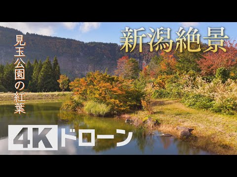 「そらなび」見玉公園の紅葉（津南町） 2025年11月22日放送回