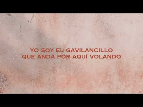 Miniatura de El Gavilancillo