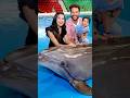 Dolphin Love ️ Wait For The End Youtubeshorts Couplegoals