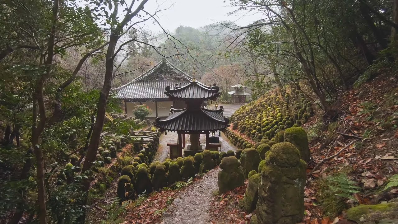 Embark on a captivating walking tour of the Otagi Nenbutsu-ji Temple.