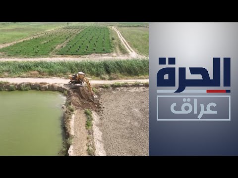 شاهد بالفيديو.. الموارد المائية تردم المئات من بحيرات الأسماك غير المجازة