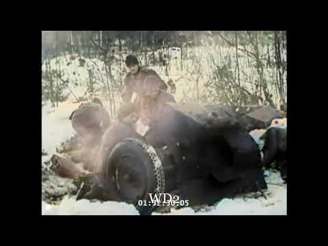 WW2 Colorized Battle near Ladoga Lake (Leningrad) Battle of Soviet Union and German Armies 1942