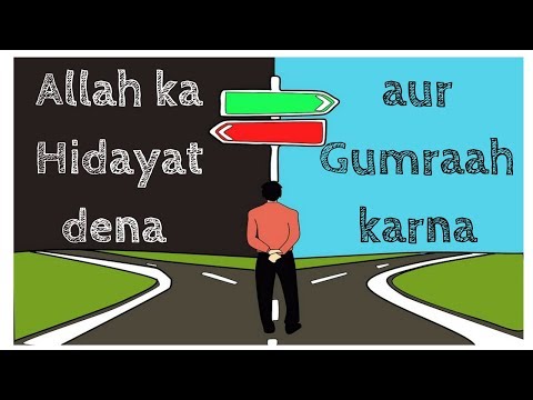 DarseQuran || Surah Al-Qasas (28:56-61)