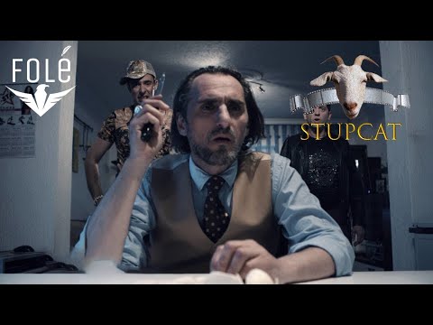 Stupcat "Vera 2016" - Kenga e burrit