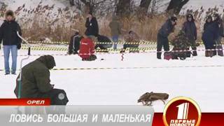 Ссылка