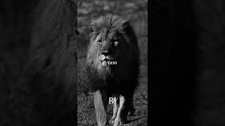 God Isn’t Slowing You Down