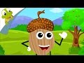 I'm a Nut Nursery Rhyme for Kids