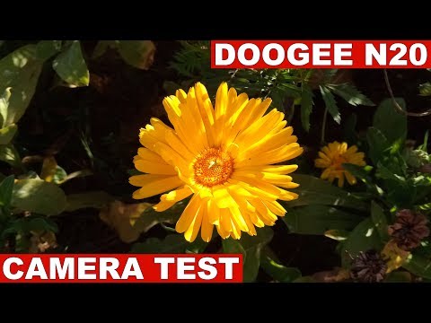 Doogee N20 Camera Test