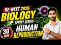 RE NEET 2026 Biology Human Reproduction In 30 Minutes Complete Revision PYQs Hemant Sir