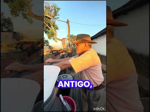 Pioneiros do Xixá/Itapuranga Goiás-Ademar de Faria.