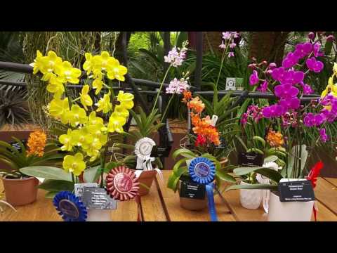 Orchid Show Singapore 2016 MAGNIFICENT Garden Festival