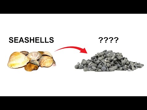 Making Calcium metal from seashells