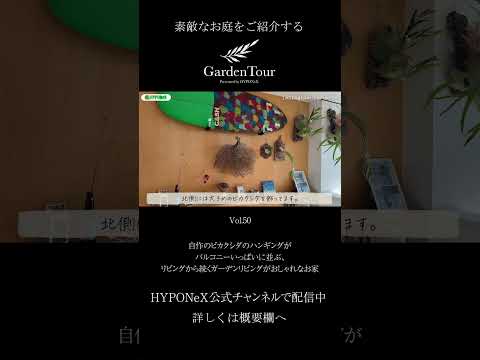 ヤナギを編んで作った植物の構造 – リビングガーデンの装飾アイデア 20 個  庭園