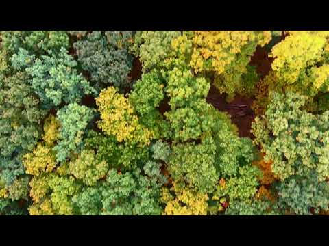 Flying through the seasons