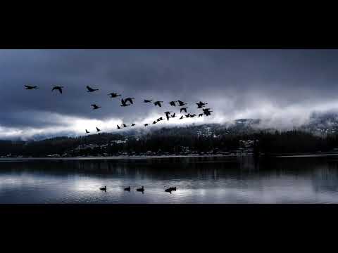 *Gelekt* Broederliefde - Hoelang Nog *Gelekt