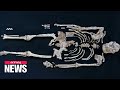 High Tech Study Of Little Foot Fossil Sheds Light On Human Origins