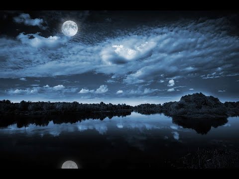 Aid - Mavi Qızılgüllər