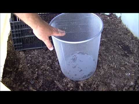 image-Does worm compost have nitrogen?
