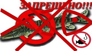 Можно ли ловить на поплавочную удочку в период запрета