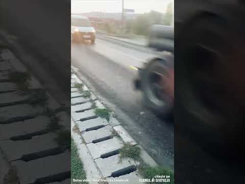 Drumarii au prins la Porumbacu leșul unui câine în refacerea asfaltului (sursa video: Raul Grancea)