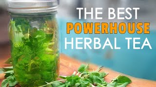 FRESH OREGANO TEA - Why You Want To Drink It Everyday