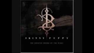 Skinny Puppy (Best Of) - Lust Chance (Album Last Rights)