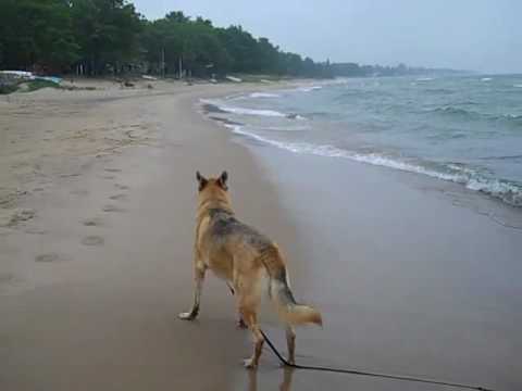 Scoping out the beach
