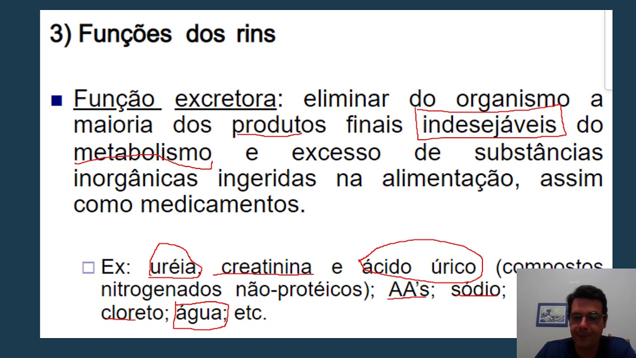 Aula Bioquímica Clínica Biomedicina   Função Renal